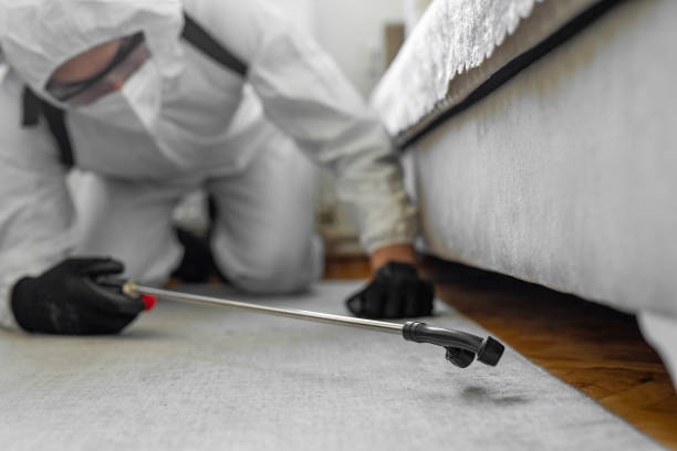 Professional Cockroach Control technician working in Blythe, CA